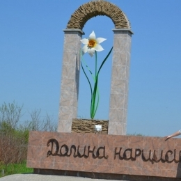 Парень, ищу девушку, очень люблю и хорошо умею лизать, Подольск, Омск